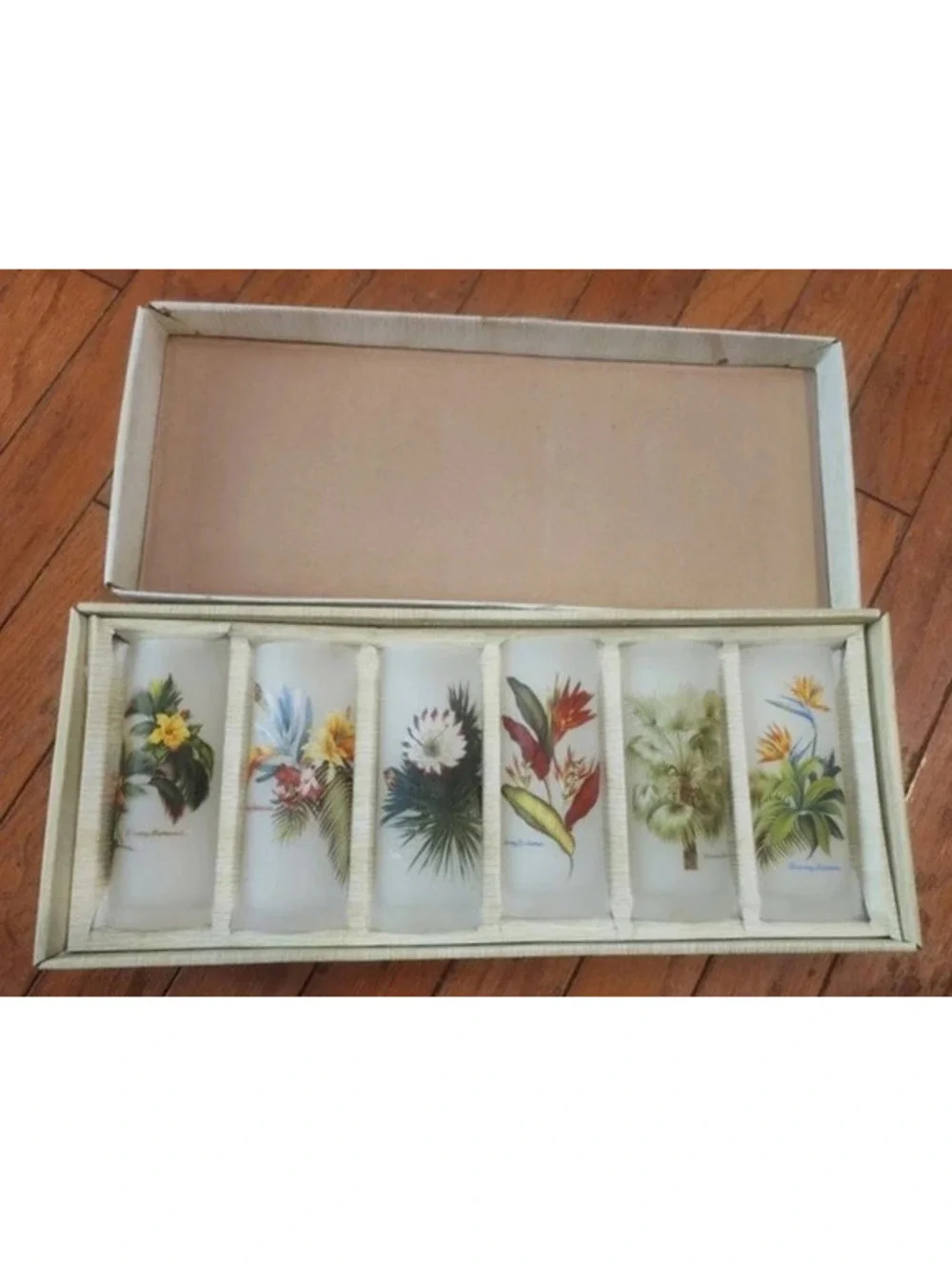 Vintage Collector's Tommy Bahama Frosted Tropical Tumblers Set of 6 (Never Used)